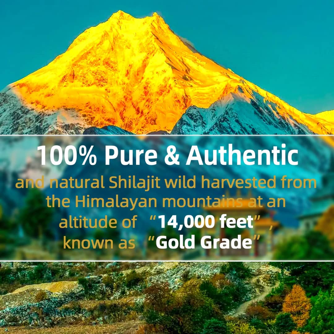 SHILAJIT+