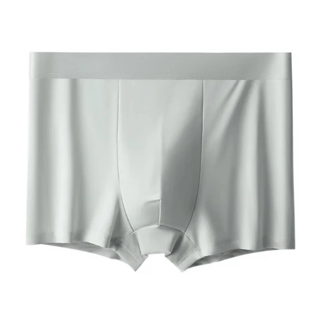Boxers en Soie